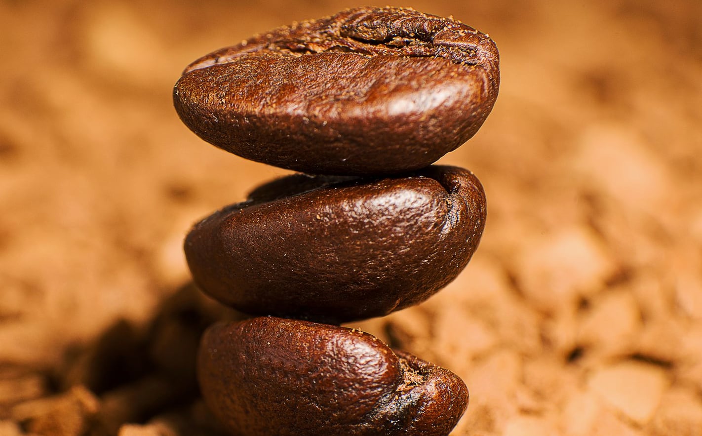 Grãos de café torrados usados no preparo das bebidas da cafeteria